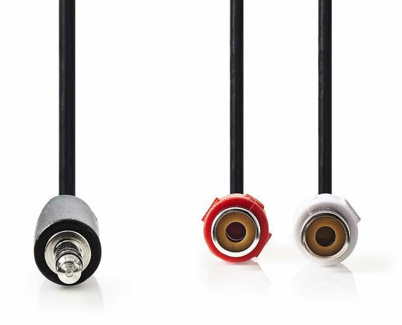 Stereo Audio Cable : 3,5 mm M naar 2 x RCA F (20 cm)