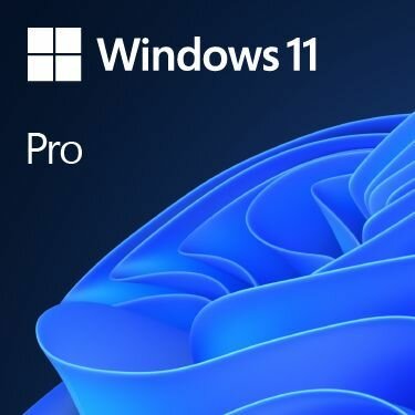 Windows 11 Pro (OEM, DVD, 64-bit, UK)