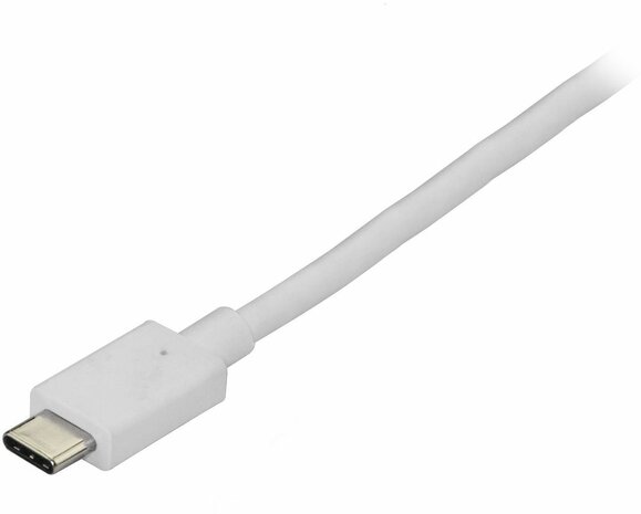 USB-C naar DisplayPortkabel (4K, 60 Hz, 1,8 meter, wit)