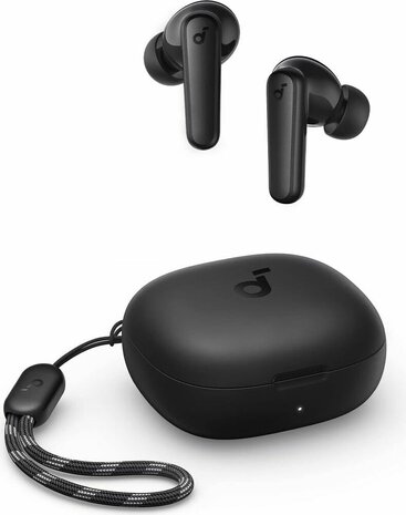 P20i Powerful Sound True Wireless Earbuds (zwart)