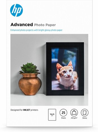 Q8691A Advanced Photo Paper (10 x 15 cm, 250 g/m&sup2;, 25 vellen)