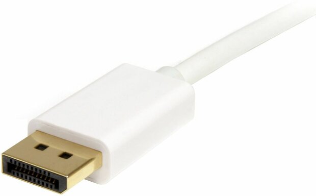 Mini DisplayPort naar DisplayPort kabel M/M (2 meter, wit)