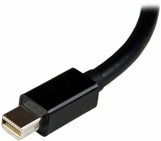 Mini DisplayPort naar DVI Video Adapter Converter (1920 x 1200)