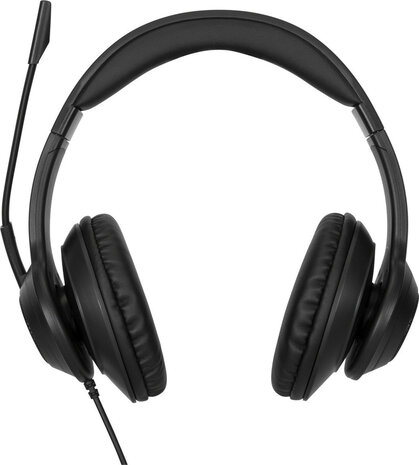 AEH102GL Headset (on-ear, convertible, wired, USB-A, noise isolating, zwart)