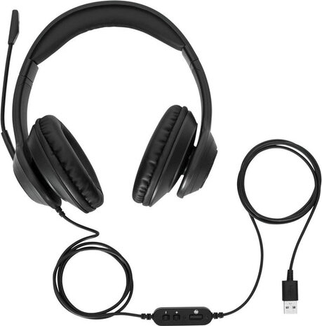 AEH102GL Headset (on-ear, convertible, wired, USB-A, noise isolating, zwart)