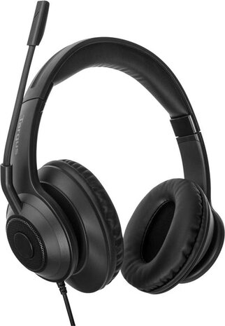 AEH102GL Headset (on-ear, convertible, wired, USB-A, noise isolating, zwart)