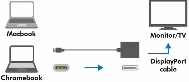 UA0246A Adapter USB-C M naar DisplayPort F