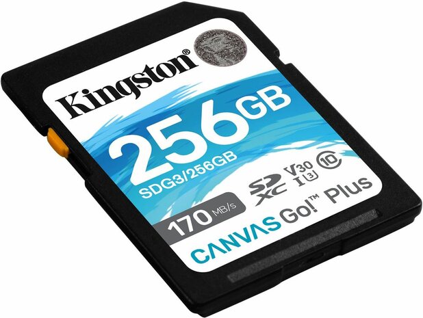 SDG3/256GB SDXC 256 GB