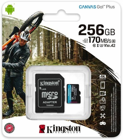 SDCG3/256GB Flash memory card 256 GB (A2, Video Class V30, UHS-I U3, Class 10, microSDXC UHS-I)