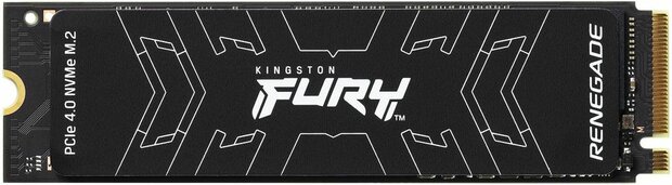 500 GB SFYRS/500G Fury Renegade SSD (M.2 2280, PCI Express 4.0 NVMe)