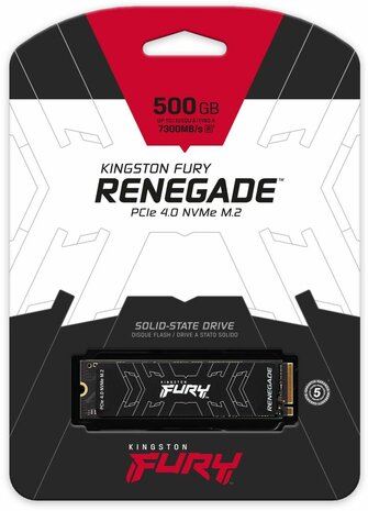 500 GB SFYRS/500G Fury Renegade SSD (M.2 2280, PCI Express 4.0 NVMe)