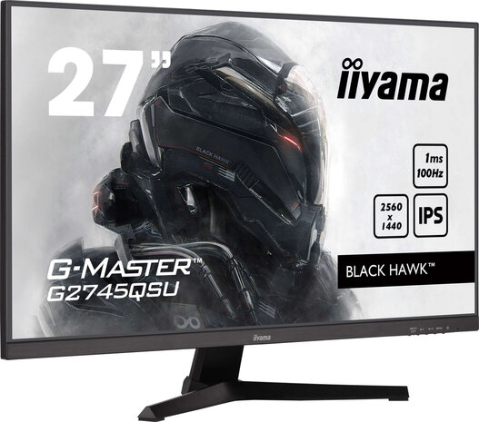 G2745QSU-B2 G-Master Black Hawk 27&quot;, 2560 x 1440 QHD IPS, USB-Hub, 80.000.000:1 ACR