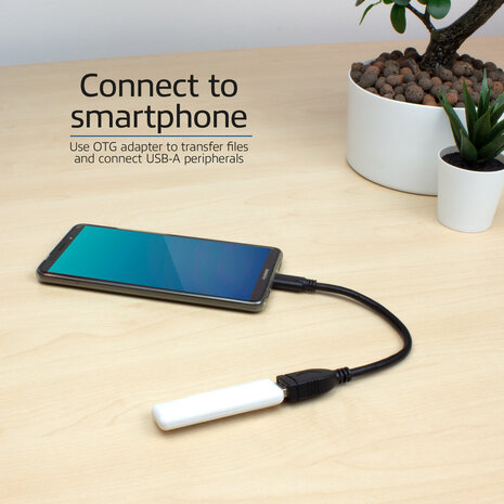 USB adapter : USB-C M naar USB A F (USB 3.2 Gen 1 On-The-Go, 20 cm, zwart)